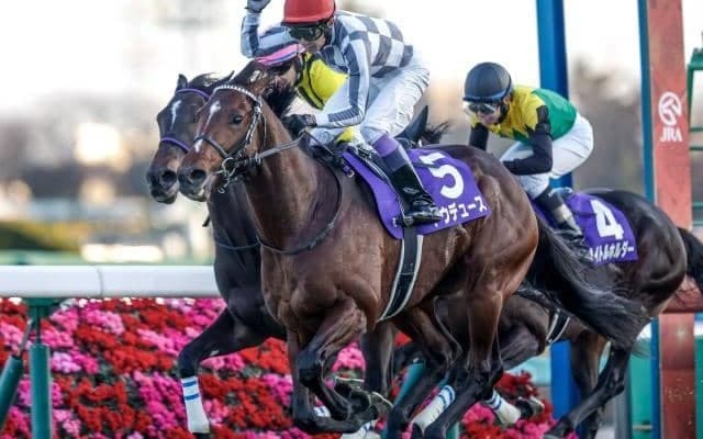 【宝塚記念想定】ドウデュース、ベラジオオペラなど13頭