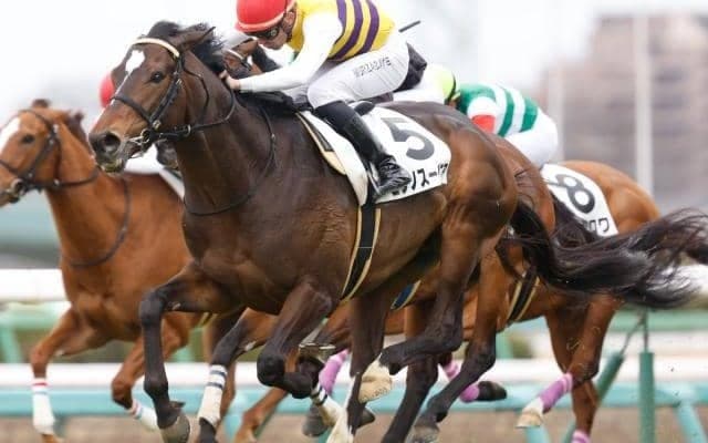 【エプソムC予想】堅い決着が予想される一戦 AIが“レース間隔と先行力”を評価した一頭とは？