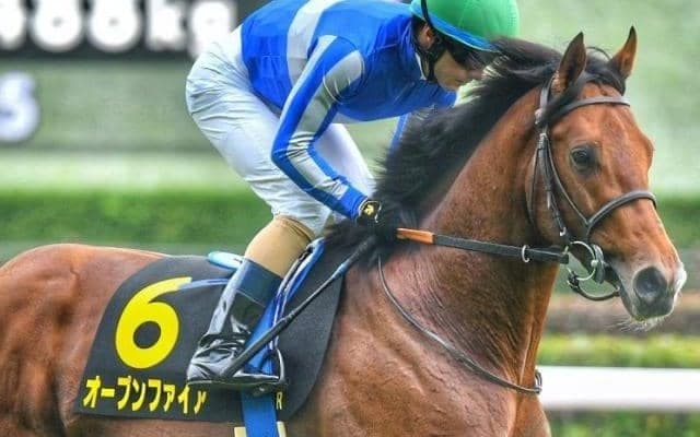 ディープ最終世代の3億円馬 長休明け2戦目でオープン入りなるか