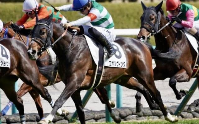 19年JRA年度代表馬の初仔と全弟が激突 負けられない戦いを制すのは？