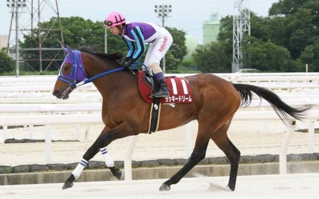 【園田・六甲盃】ラッキードリームが重賞12勝目