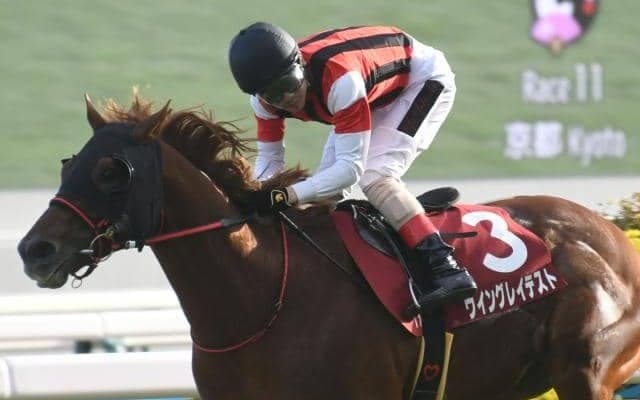 【函館SS枠順確定】ウイングレイテストは5枠10番、アサカラキングは2枠3番