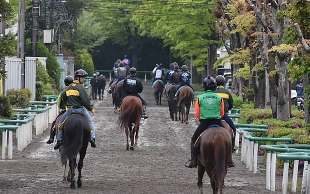 ウマ娘と美浦村がコラボキャンペーン 地域交流館にキャラクター等身大パネル