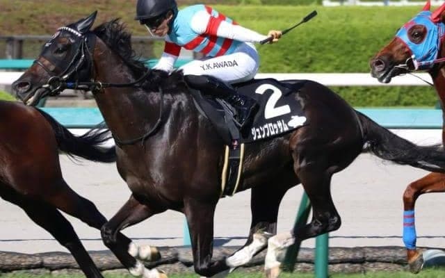 京都芝は外伸び傾向 水無月Sはジュンブロッサムの末脚に期待