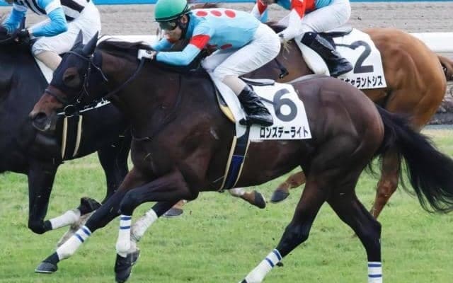 半弟にドウデュースの良血 新進気鋭の若手厩舎への転厩初戦で変わり身見せるか