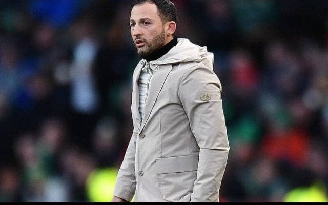 ベルギー代表のテデスコ監督が25名でのユーロ参戦明言！　キャンプ参加の若手2人は不参加に