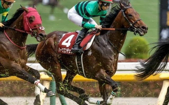 【今日の注目ポイント】函館開催がスタート 東京でフィエールマン産駒のレイヤードレッドなどがデビュー