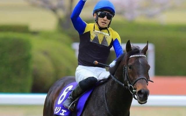 近親にポタジェ＆ルージュバック 良血馬が土曜京都5RでデビューV狙う