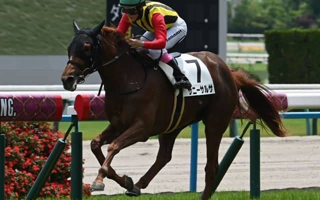 【京都5R新馬戦結果】7番人気のマインドユアビスケッツ産駒サニーサルサが逃げ切り勝ち