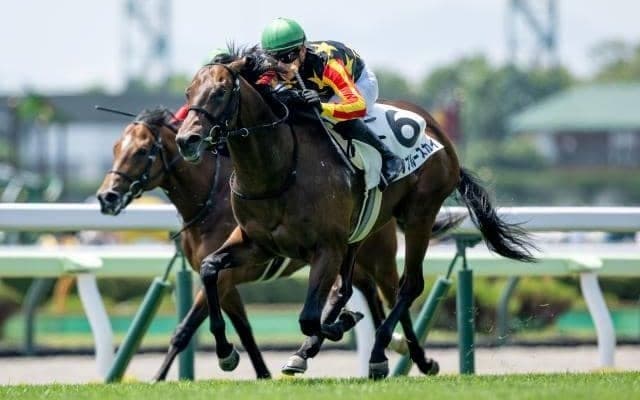 【函館5R新馬戦結果】ヒデノブルースカイが快勝 新種牡馬ナダル産駒のJRA初勝利