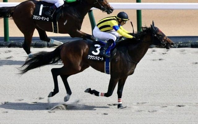 【青梅特別】グラウンドビートが3連勝…ルメール騎手は本日4勝目