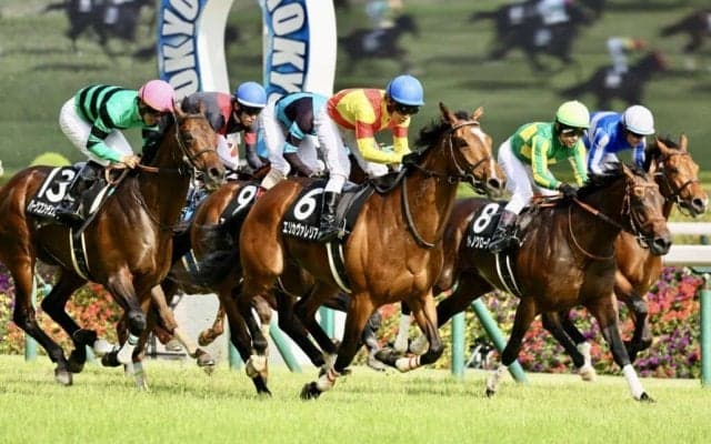 【ジューンS】大混戦のゴール前！エリカヴァレリアが抜け出す