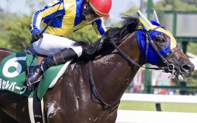 東京芝はエピファネイア産駒に要注意 セルバーグの粘り込みがあるぞ