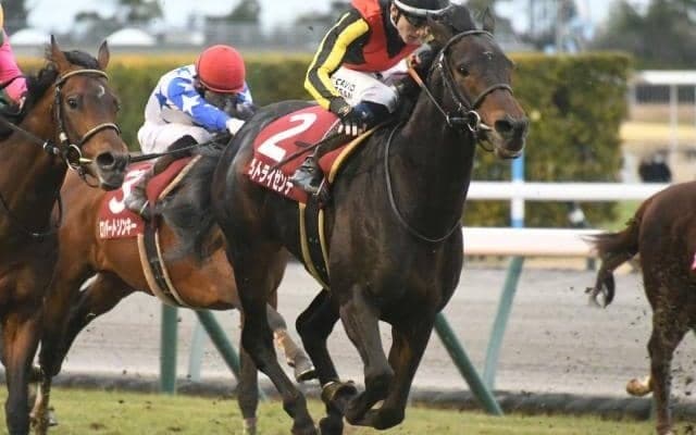 【AI予想・エプソムC】ビッグレースでの活躍馬を多数送り出す一戦 格上といえる実力馬の復活に期待！