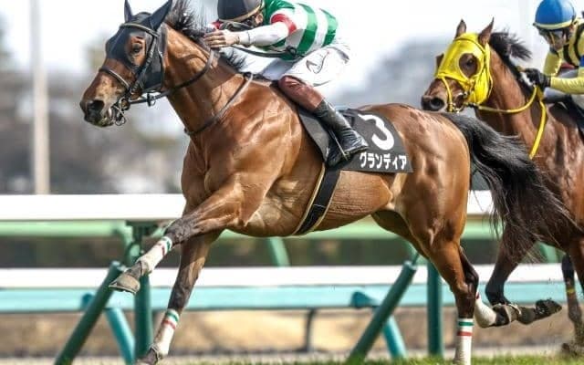 【エプソムC予想】春の東京開催最後の平地重賞 瞬発力よりも長く使える脚が勝負を分ける