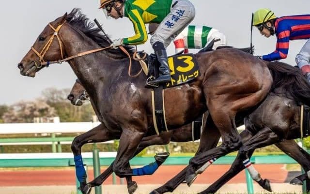 【函館SS予想】初夏到来を告げる電撃戦 快足自慢が北の大地に集結