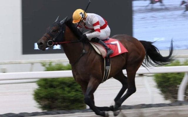 【高知・瀬戸特別】ニクソンテソーロが高知で12勝目…多田羅「うまく内をさばけた」