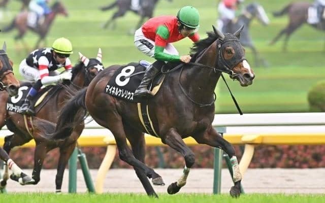エプソムCは展開次第 末脚勝負ならマイネルケレリウスの出番だ