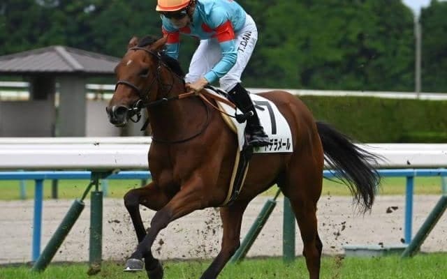 【京都5R新馬戦結果】ナダル産駒ポートデラメールがゴール前で差し切りV