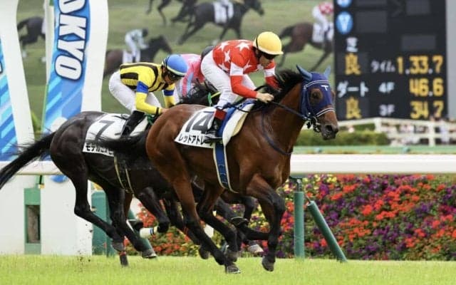 【東京6R】単勝1.3倍レッドアトレーヴが鮮やかな差し切り