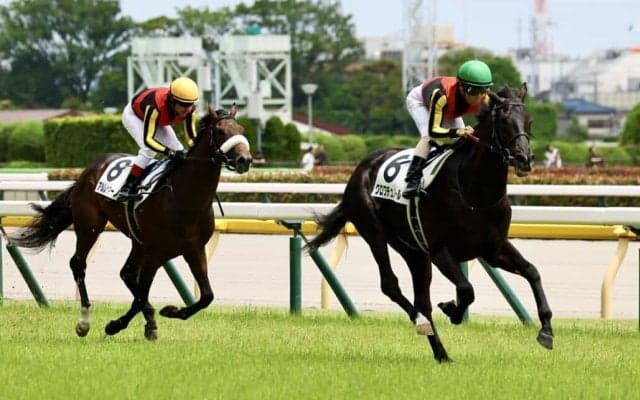 【新馬/東京5R】キタサンブラック産駒 クロワデュノールが鮮やかに抜け出す