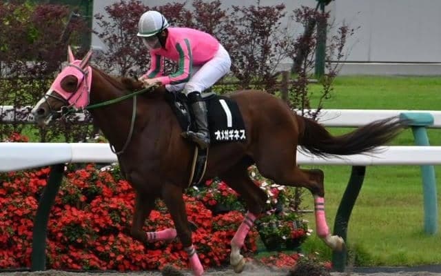 【三宮S結果】オメガギネスが断然人気に応え7馬身差V