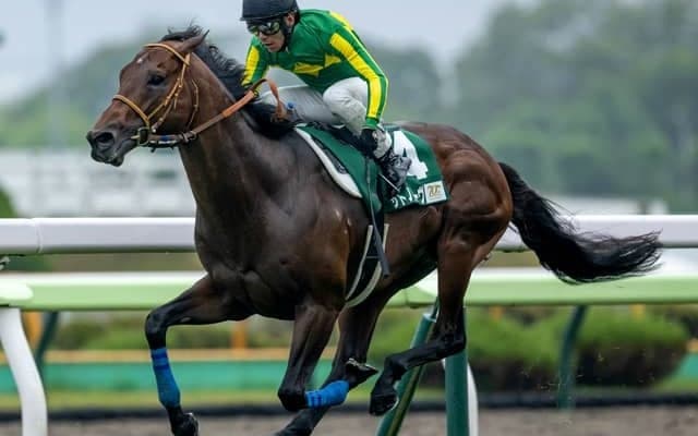 【函館SS結果】サトノレーヴが抜け出し快勝 連勝で重賞初制覇