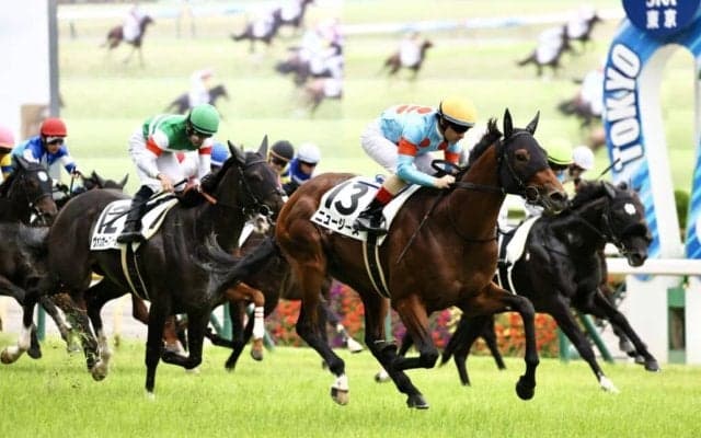 【東京12R】良血ニュージーズが快勝…ミッキークイーン半弟