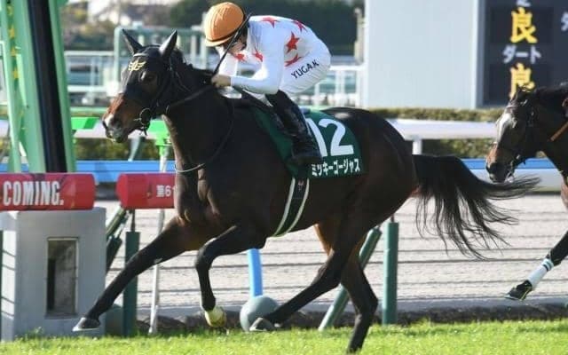 京都で牝馬重賞マーメイドSと川崎で関東オークス/今週の競馬界の見どころ