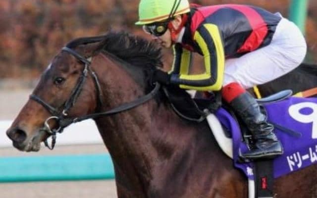 \"ドリームレース\"に強かった一頭も 6月10日「夢の日」ちなみ夢にまつわる馬たち