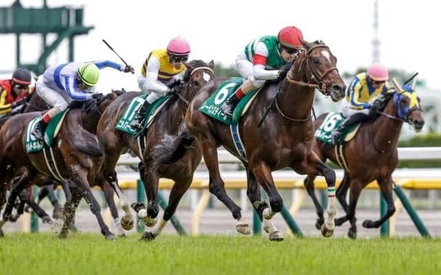 【エプソムC】売上は68億9627万8400円で昨年より約4.5億円減少