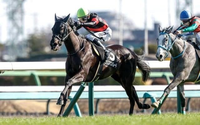 【川崎・関東オークス枠順】初ダートのクリスマスパレードは7枠9番