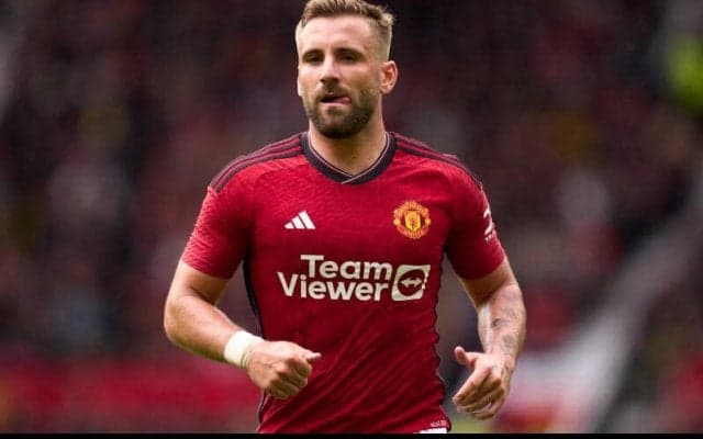 「一部は僕で、一部はメディカルスタッフのせい」　ユーロ行きに滑り込みのショー、今季のケガを語る