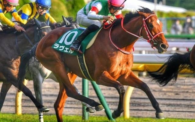 三冠牝馬リバティアイランドに“唯一土を付けた牝馬” マーメイドSで復活の狼煙を上げるか