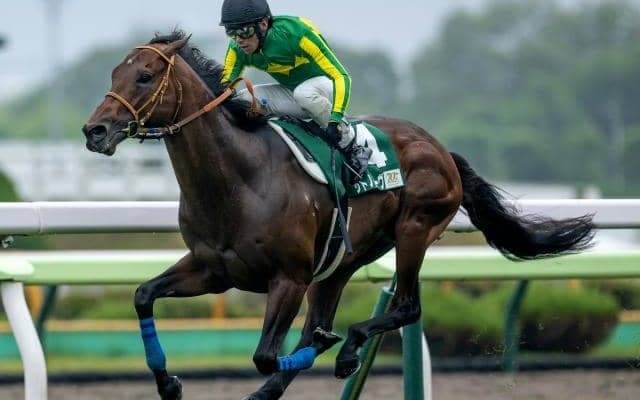 連対率34.4％を誇る驚異的なニックス 函館SS覇者は短距離王者を掛け合わせた“近年最高”の配合