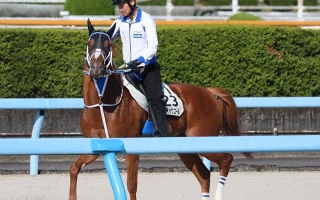 セラフィックコールなど、先週の入厩情報/栗東トレセンニュース