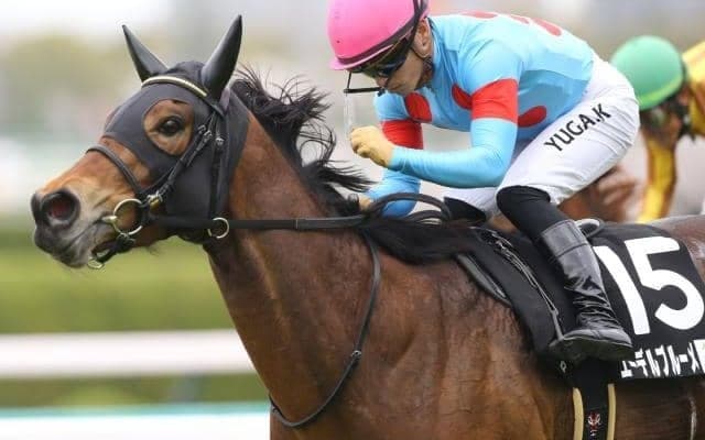 【マーメイドS予想オッズ】エーデルブルーメが予想1番人気