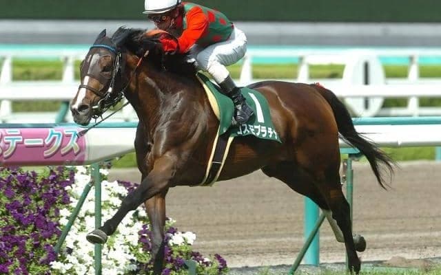 マーメイドSはかつて「10R」で行われていた？ 理由は“今年とは異なる”発走時間の繰り下げ