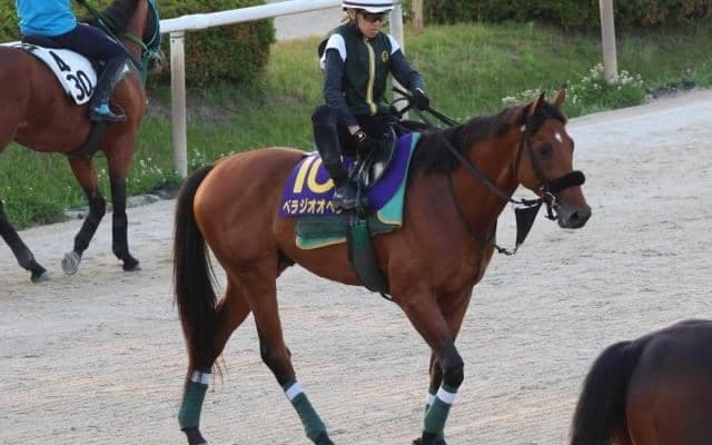 ベラジオオペラ、宝塚記念1週前追い切り速報/栗東トレセンニュース