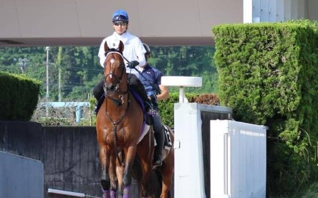 ドウデュース、宝塚記念1週前追い切り速報/栗東トレセンニュース