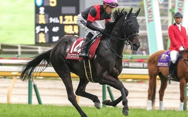 【川崎・関東オークス注目馬】砂の3歳女王決する一戦 中央馬の12年連続Vか、地方馬のひさびさ戴冠か
