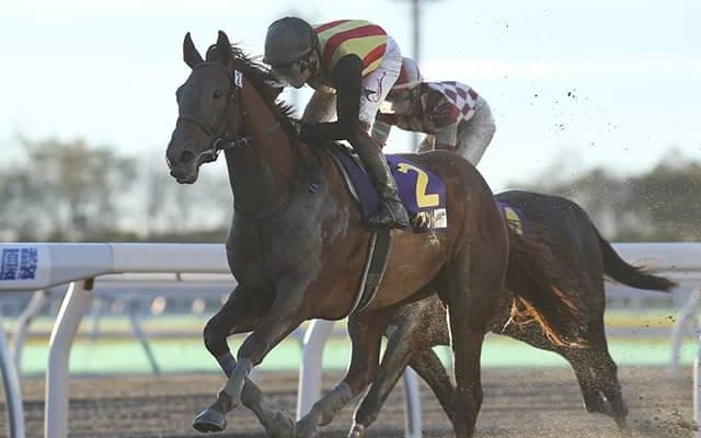 21年JBC2歳優駿覇者のアイスジャイアント抹消 今後は千葉県で乗馬に