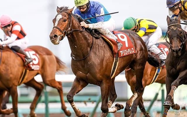 21年AJCC覇者アリストテレスが登録抹消 今後は阪神競馬場で乗馬に