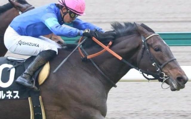レース史上初の記録へ 仏G1馬ロペデヴェガ産駒が4連勝でマーメイドS制覇なるか