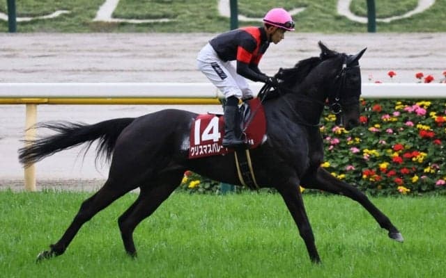 【関東オークス】クリスマスパレードは7枠9番へ