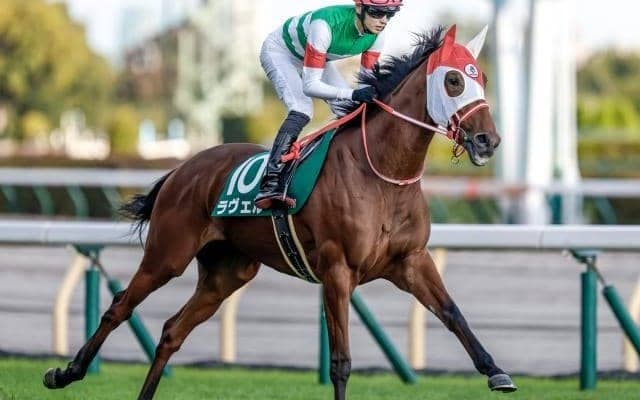 【マーメイドS予想】今回はいかにも狙い頃 波乱傾向の一戦でAIが好評価を下した馬とは？