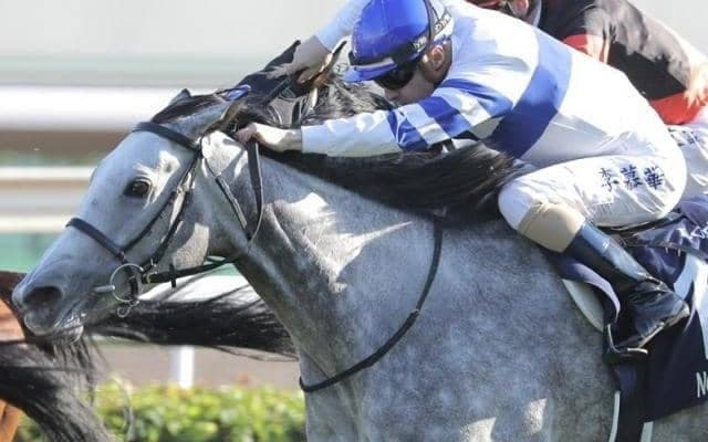 母は東京芝1600レコードのGI覇者 超良血馬がルメール騎手とデビューVへ