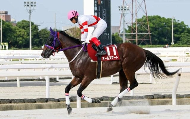 【園田FCスプリント】オールスマートが3馬身差完勝…山下「いつも通りの競馬」