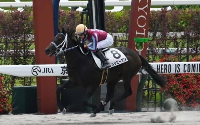 【京都5R新馬戦結果】ダノンレジェンド産駒ハッピーマンが抜け出し快勝