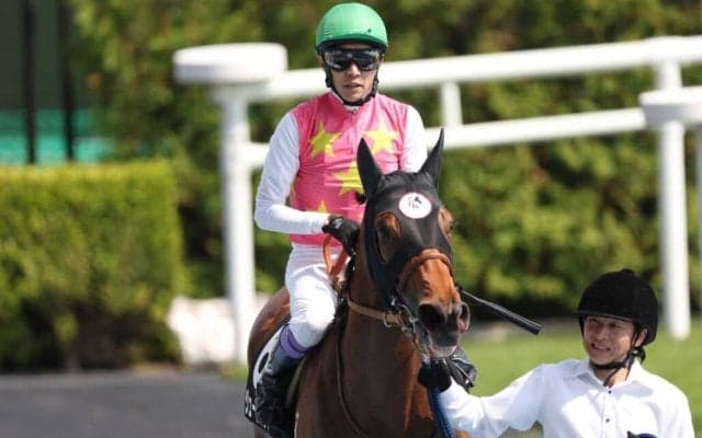 【下北半島特別】武豊ジューンブレアが逃げ切り…軽快なスピードで2勝目